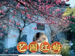-艺圃