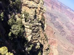 -科罗拉多大峡谷