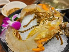 小青龙-东海怡品海鲜豆捞(舟宿夜江店)