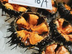 海胆-荣祥海鲜·烟台菜(胜利路二部)