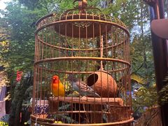 -哈哈曲艺社(西门闲亭店)