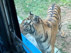 -北京野生动物园