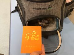 -萌兽医馆·犬猫专科·眼科中心·宠物医院(朝阳门分院)