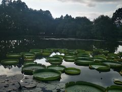 -西湖游船