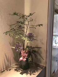 -美玫美容SPA护理中心