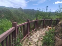 -灵溪风景区