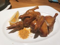 红烧乳鸽-点心传说·粤菜点心(佐阾虹湾店)