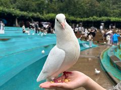 -音乐台