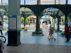 -海合安成都极地海洋公园