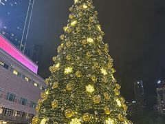 -吉隆坡国油双峰塔