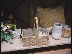 -IFIF 如果花園(宽厚里店)