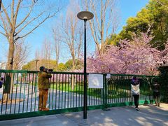 景点-静安雕塑公园