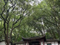 -上海佘山国家森林公园天马山园