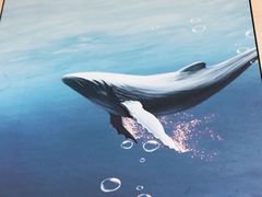 -贝林大翅鲸简餐厅(国家海洋博物馆店)