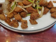 -邵年鸽(杨庄店)