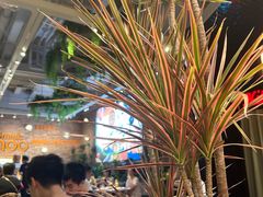 -Grande A'moo(上海万象城店)