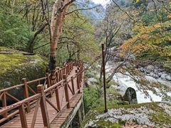 -秦岭风景区