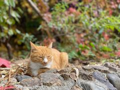 -卧龙堡客栈·中餐厅(古北水镇店)