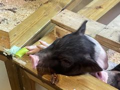 -正佳雨林生态植物园