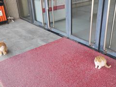 -中国北方国际射击场