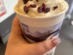 -茶颜悦色(岳麓山顶店)