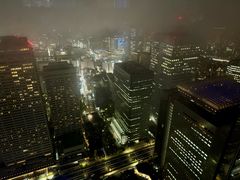 -东京都厅舍