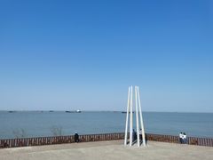 -上海滨江森林公园