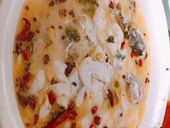 鲜椒豆花鲈鱼-川味堂·四川豆花(八卦岭店)