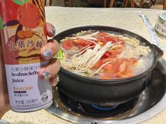 -九寨特色牦牛肉汤锅 羊肉汤锅