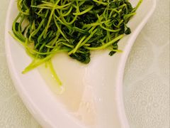 清炒鸡毛菜-博雅渔港·融合菜(维也纳国际大酒店)