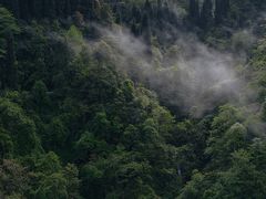 -龙苍沟森林公园