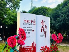 -西苑公园