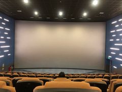 -纵横国际影城杜比全景声巨幕(天安云谷店)