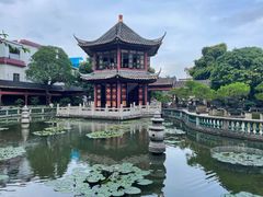 -碧江金楼