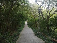 -小南山公园