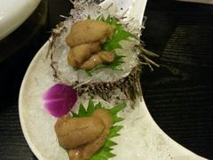 -鲤·鮨KOISUSHI