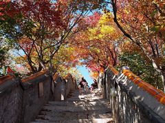 -妙峰山风景名胜区