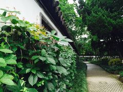 -瀛洲公园