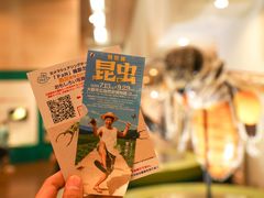 -大阪市立自然史博物馆