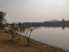 -羊山湖公园