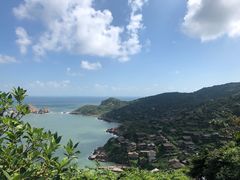 -枸杞岛