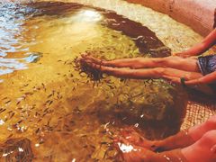 -汉拿山温泉度假酒店