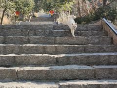 -天马岛度假区