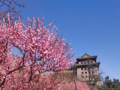 -北京明城墙遗址公园