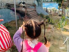 -泉州海丝野生动物世界