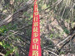 -千年银杏谷文化旅游区