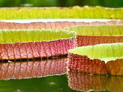 -国家植物园(地铁站)