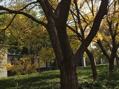 -中央戏剧学院(昌平校区)