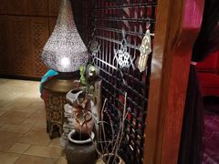 -Tajine Moroccan塔金摩洛哥中东餐厅