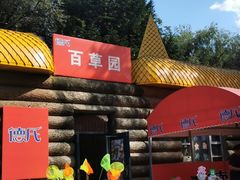-黑龙江省森林植物园
